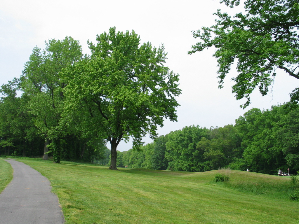 306-0612_IMG.JPG